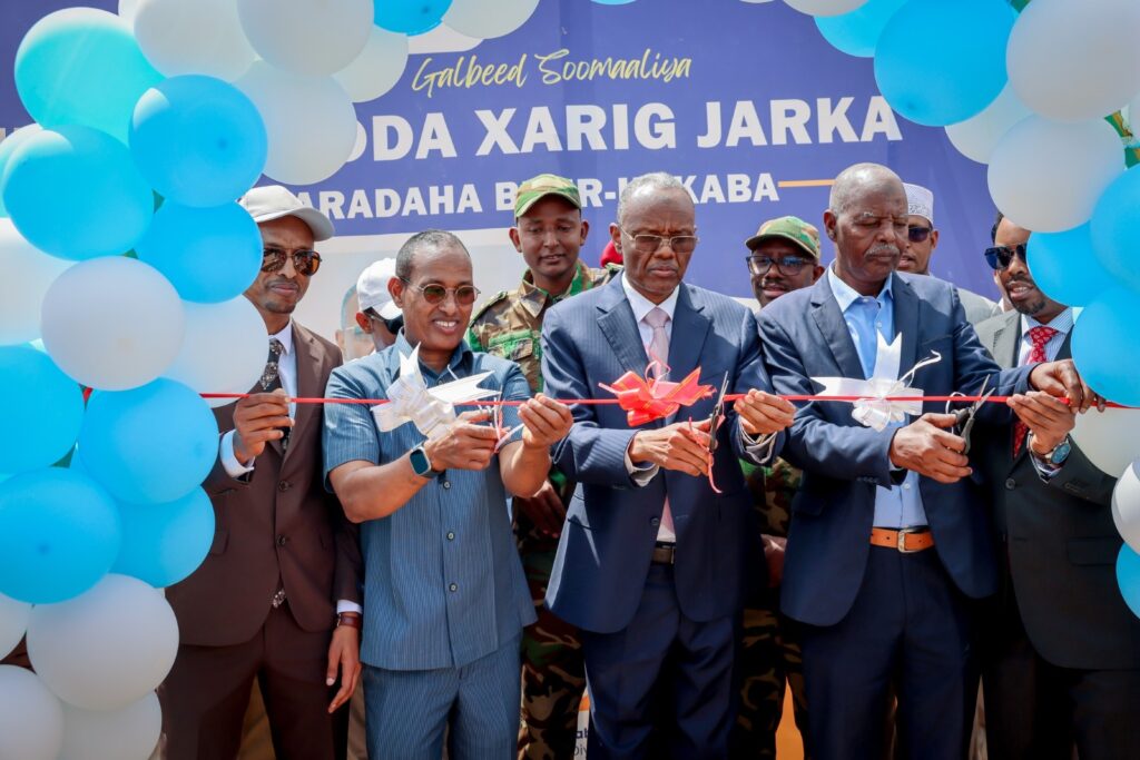 Madaxweynaha Dowlad Goboleedka Koonfur Galbeed